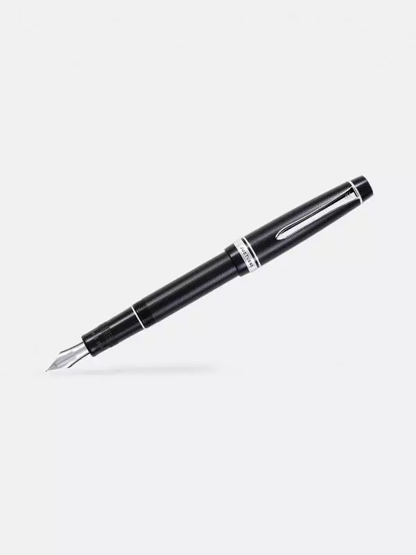 stylo-plume-pilot-3131910511335